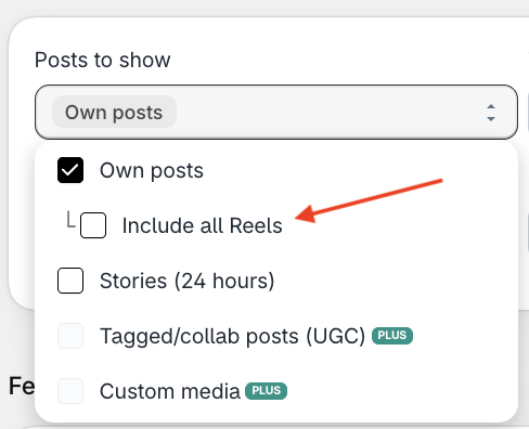 Instafeed Posts to show menu with Own posts selected and a red arrow pointing to Include all Reels, which is unchecked.